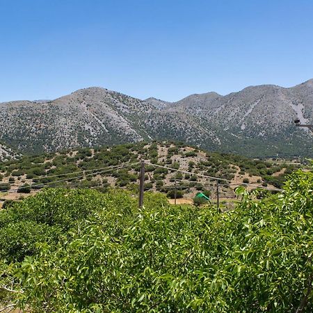 Villa Skyphos Ammoudari Exteriér fotografie