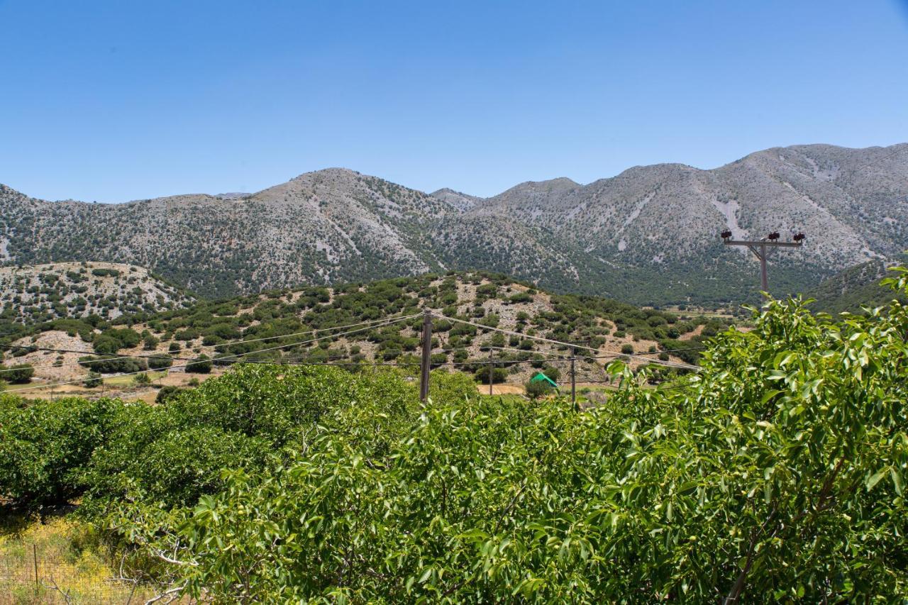Villa Skyphos Ammoudari Exteriér fotografie